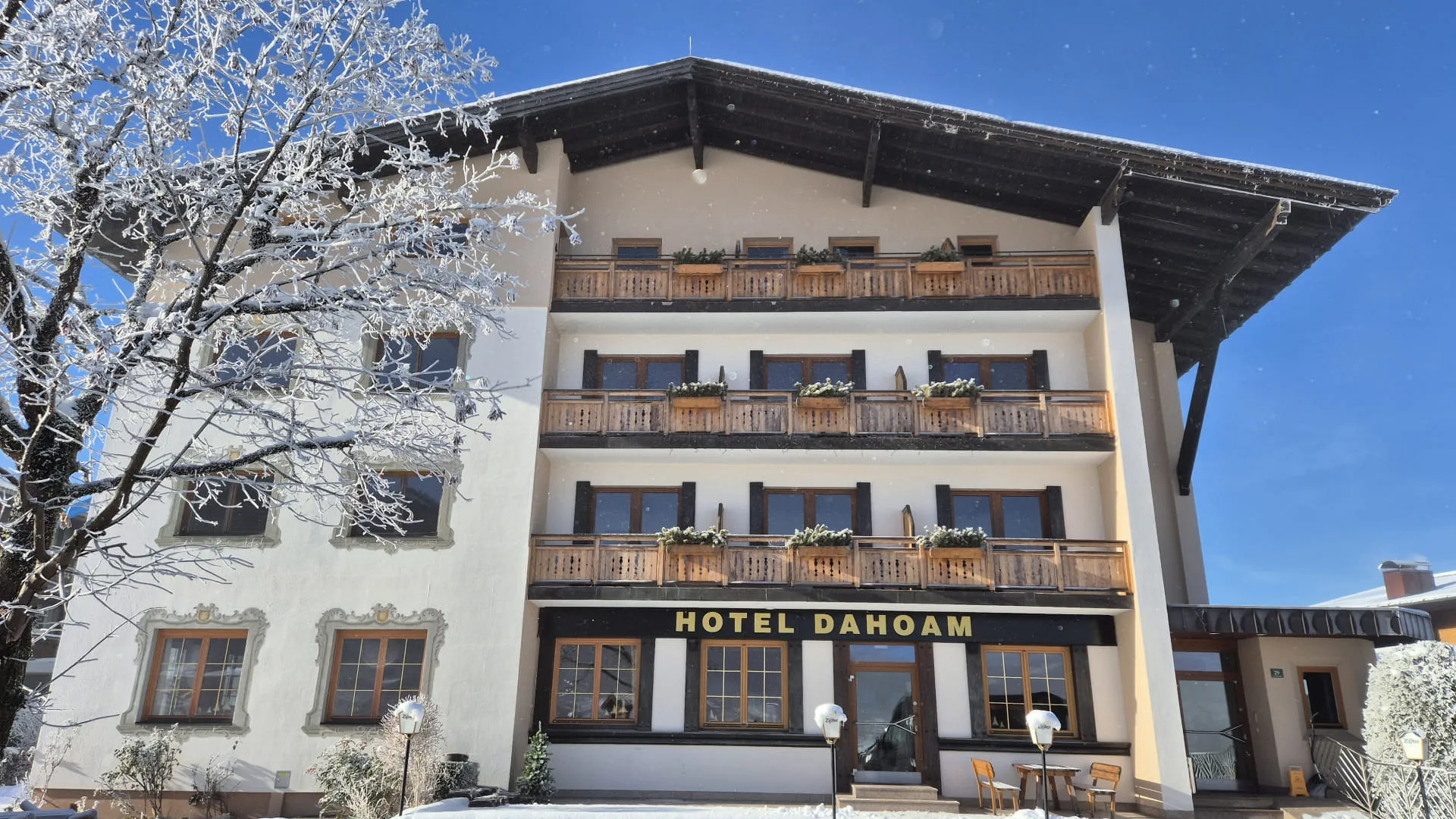 Hotel Dahoam im Winter mit verschneitem Baum im Vordergrund